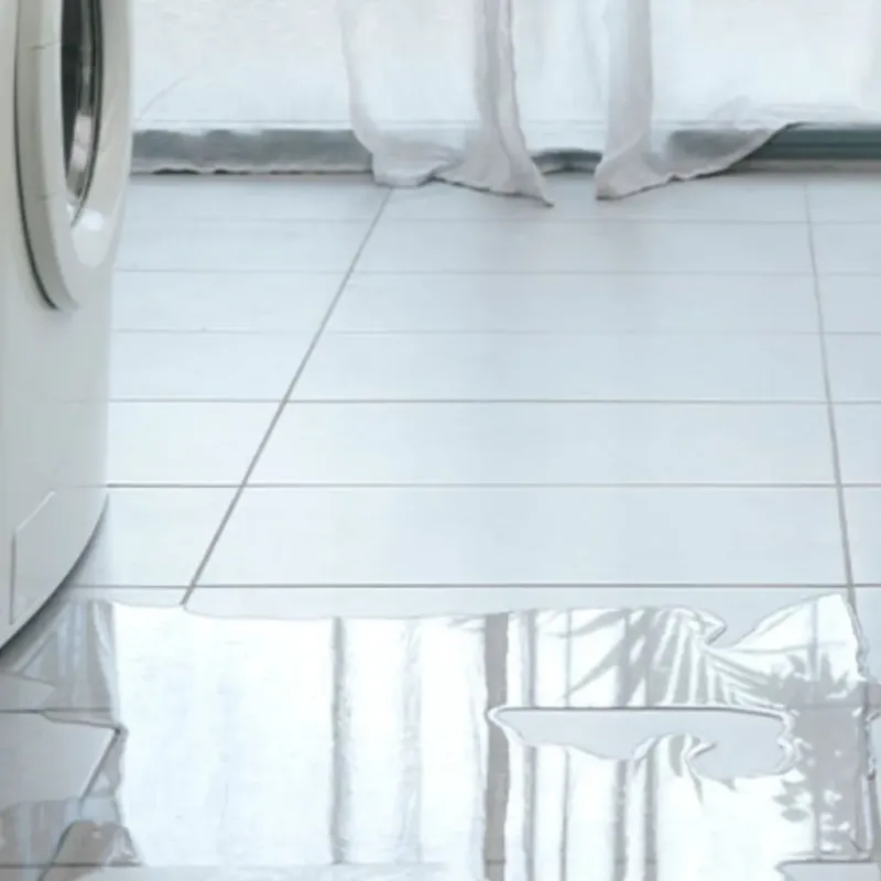Appliance Leak Cleanup in Silver Lake, KS