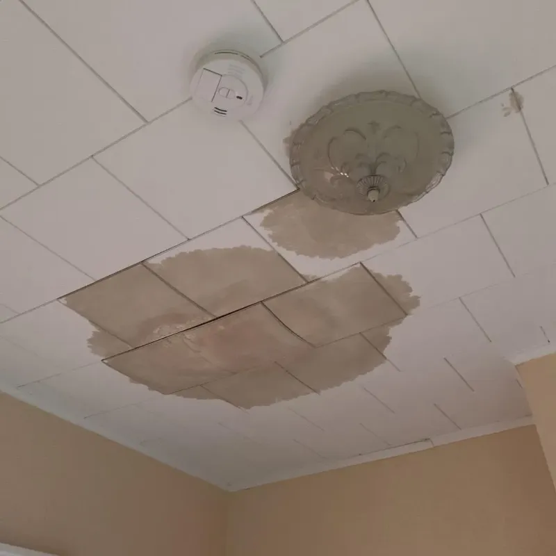 Ceiling Water Damage Repair in Silver Lake, KS