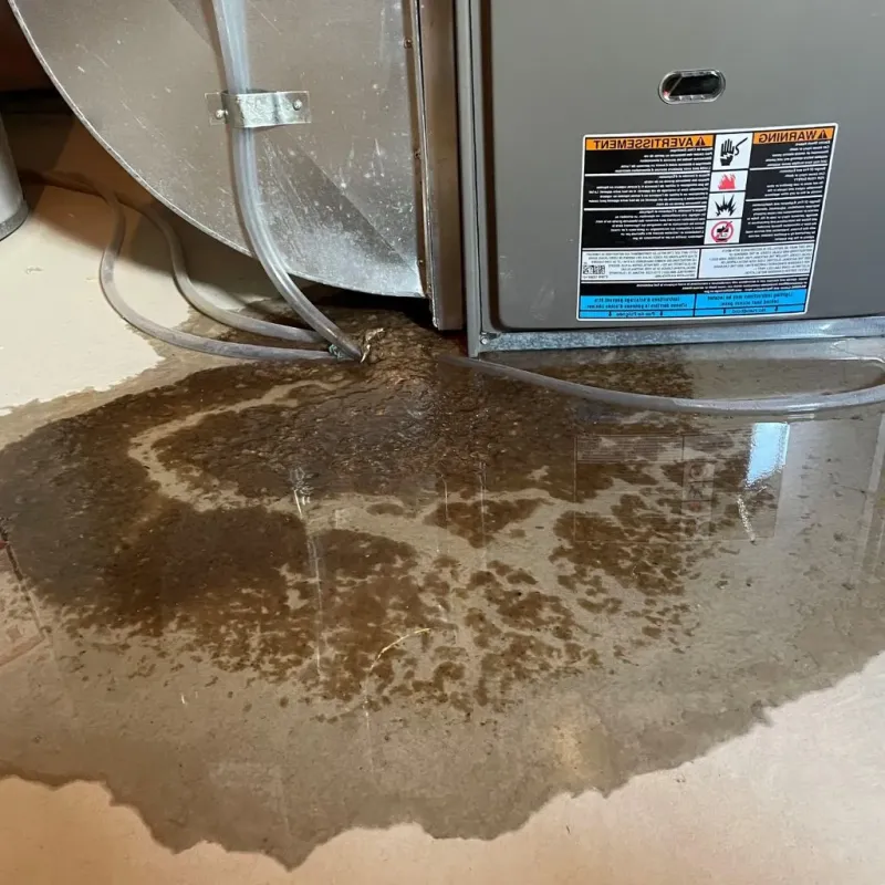 Pipe Burst and Leak Restoration in Silver Lake, KS